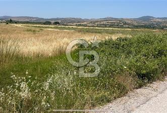 İZMİR DİKİLİ İSMETPAŞA MAHALLESİ'NDE FIRSAT SATILIK TARLA 