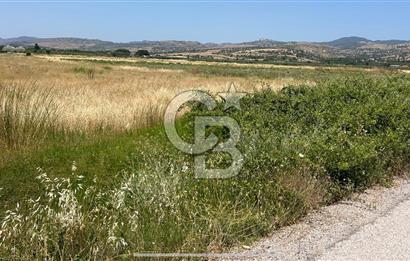 İZMİR DİKİLİ İSMETPAŞA MAHALLESİ'NDE FIRSAT SATILIK TARLA 