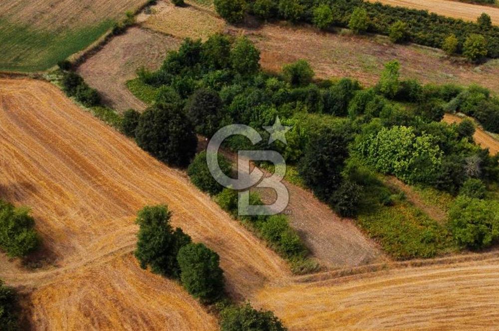 CB AKADEMİ SATILIK AMBARCI KÖY İÇİ KONUT İMARLI 1397m2 ARSA