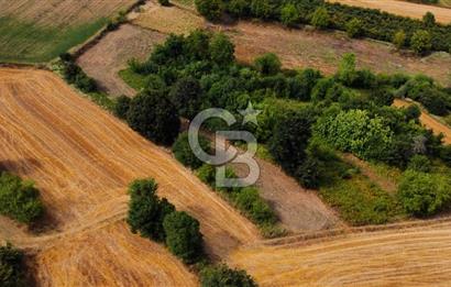 CB AKADEMİ SATILIK AMBARCI KÖY İÇİ KONUT İMARLI 1397m2 ARSA