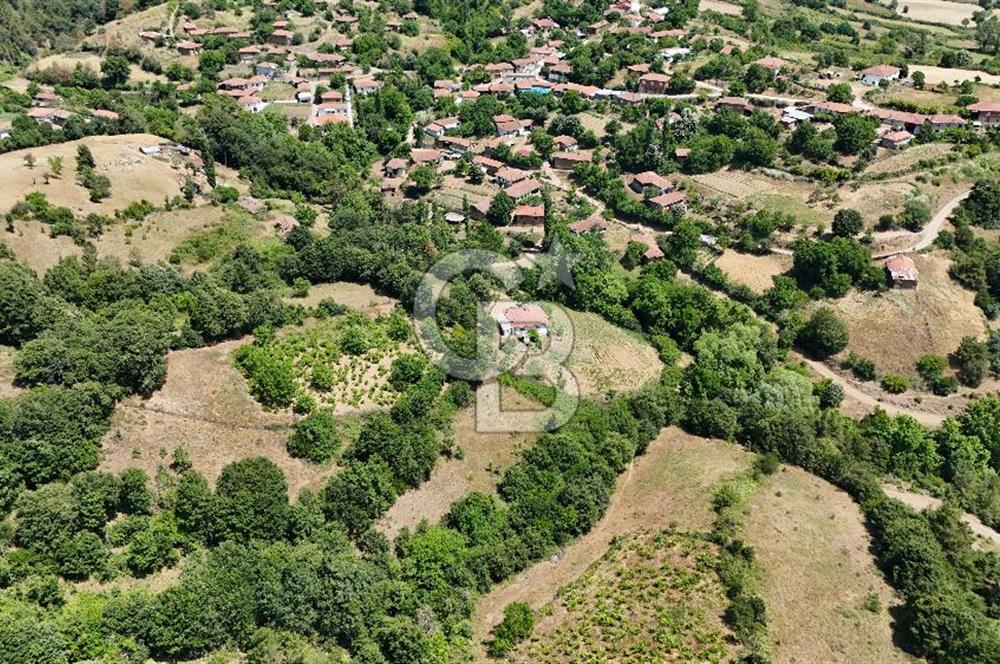 Çanakkale Yenice Umurlar Köyünde 500 M² Satılık Arsa!