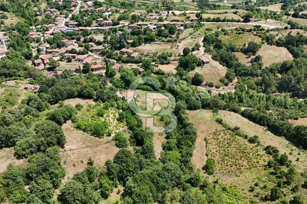 Çanakkale Yenice Umurlar Köyünde 500 M² Satılık Arsa!