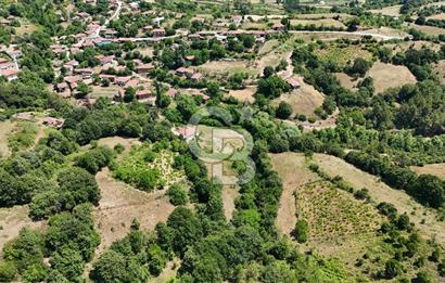 Çanakkale Yenice Umurlar Köyünde 500 M² Satılık Arsa!