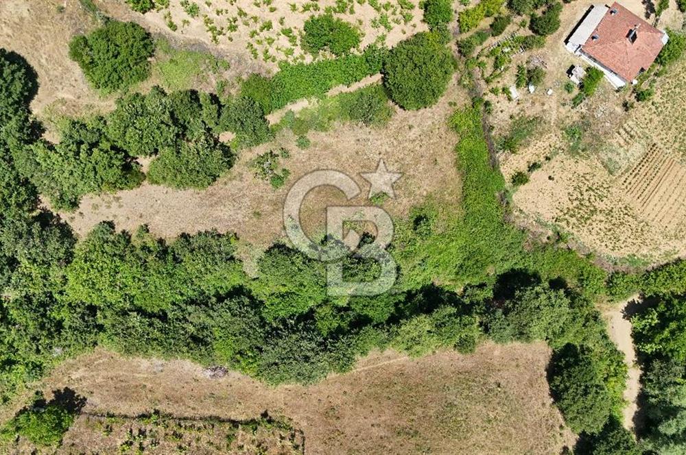Çanakkale Yenice Umurlar Köyünde 500 M² Satılık Arsa!