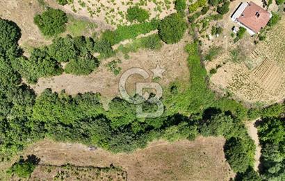 Çanakkale Yenice Umurlar Köyünde 500 M² Satılık Arsa!