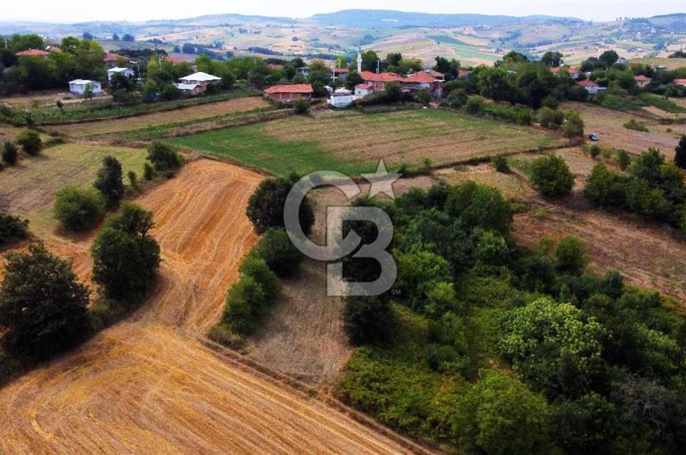 CB AKADEMİ SATILIK AMBARCI KÖY İÇİ KONUT İMARLI 1397m2 ARSA
