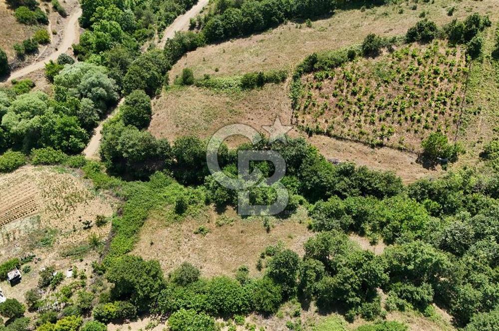 Çanakkale Yenice Umurlar Köyünde 500 M² Satılık Arsa!