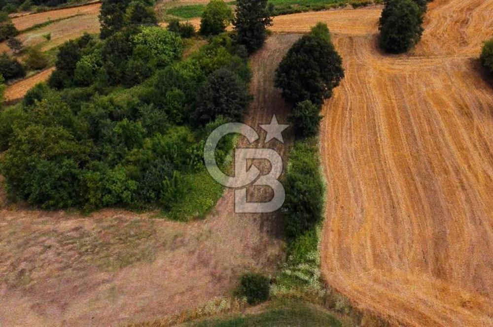 CB AKADEMİ SATILIK AMBARCI KÖY İÇİ KONUT İMARLI 1397m2 ARSA