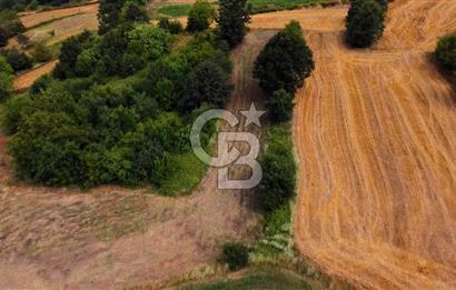 CB AKADEMİ SATILIK AMBARCI KÖY İÇİ KONUT İMARLI 1397m2 ARSA