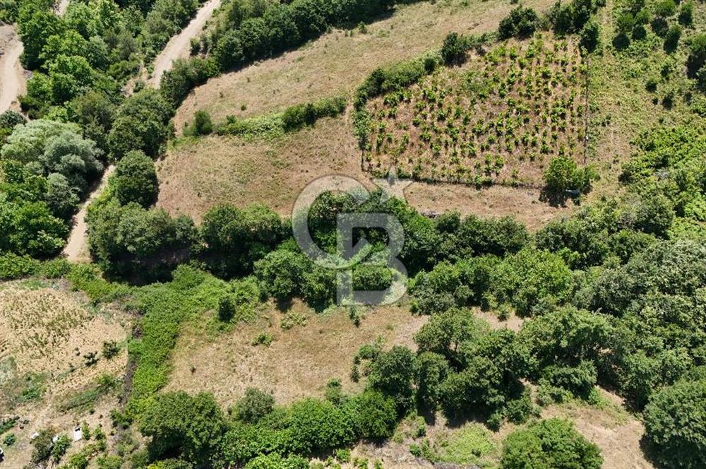Çanakkale Yenice Umurlar Köyünde 500 M² Satılık Arsa!