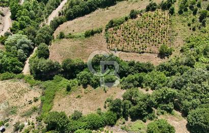 Çanakkale Yenice Umurlar Köyünde 500 M² Satılık Arsa!