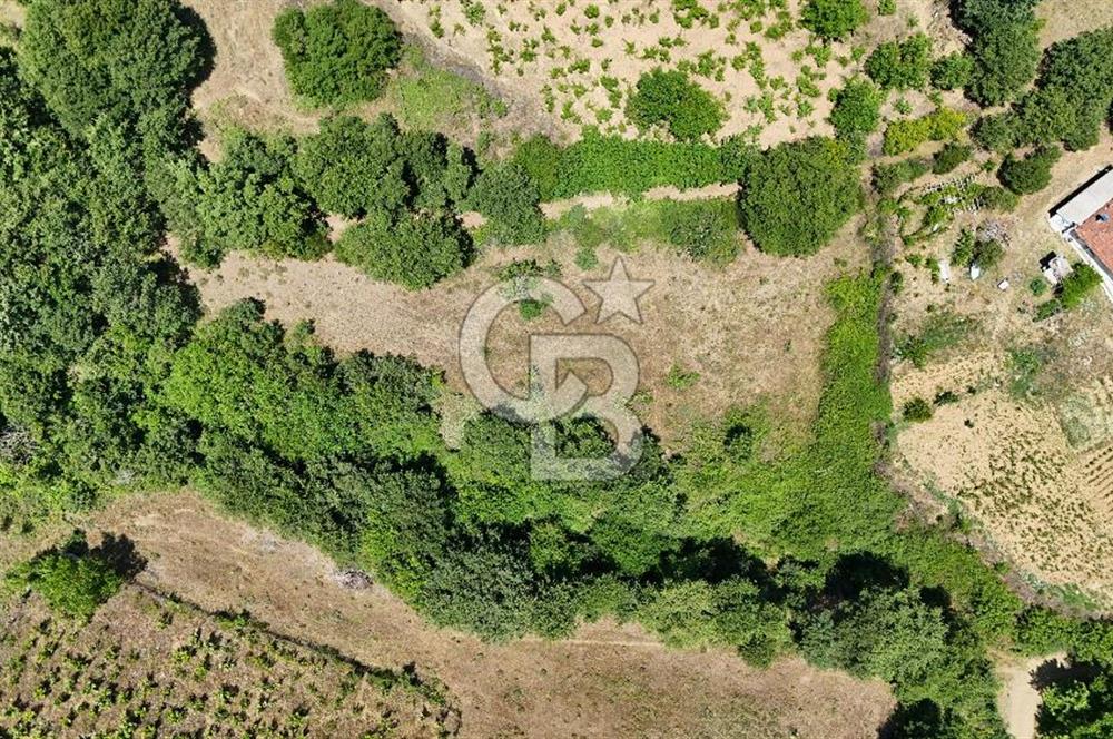 Çanakkale Yenice Umurlar Köyünde 500 M² Satılık Arsa!