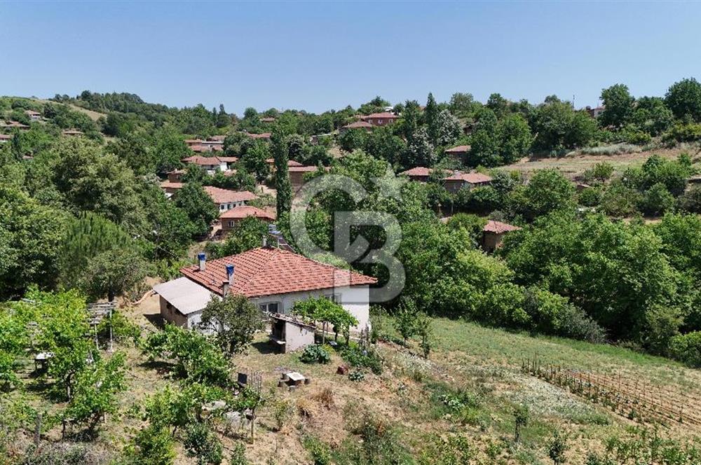 Çanakkale Yenice Umurlar Köyünde 500 M² Satılık Arsa!