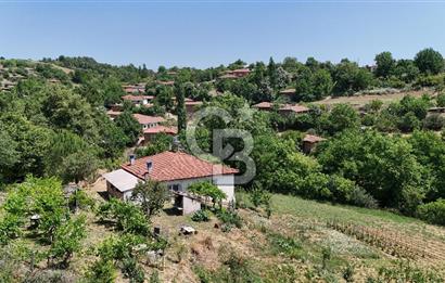 Çanakkale Yenice Umurlar Köyünde 500 M² Satılık Arsa!