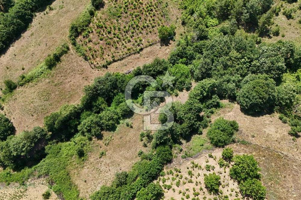 Çanakkale Yenice Umurlar Köyünde 500 M² Satılık Arsa!
