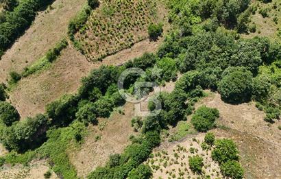Çanakkale Yenice Umurlar Köyünde 500 M² Satılık Arsa!