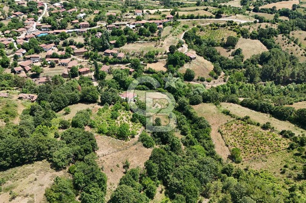 Çanakkale Yenice Umurlar Köyünde 500 M² Satılık Arsa!