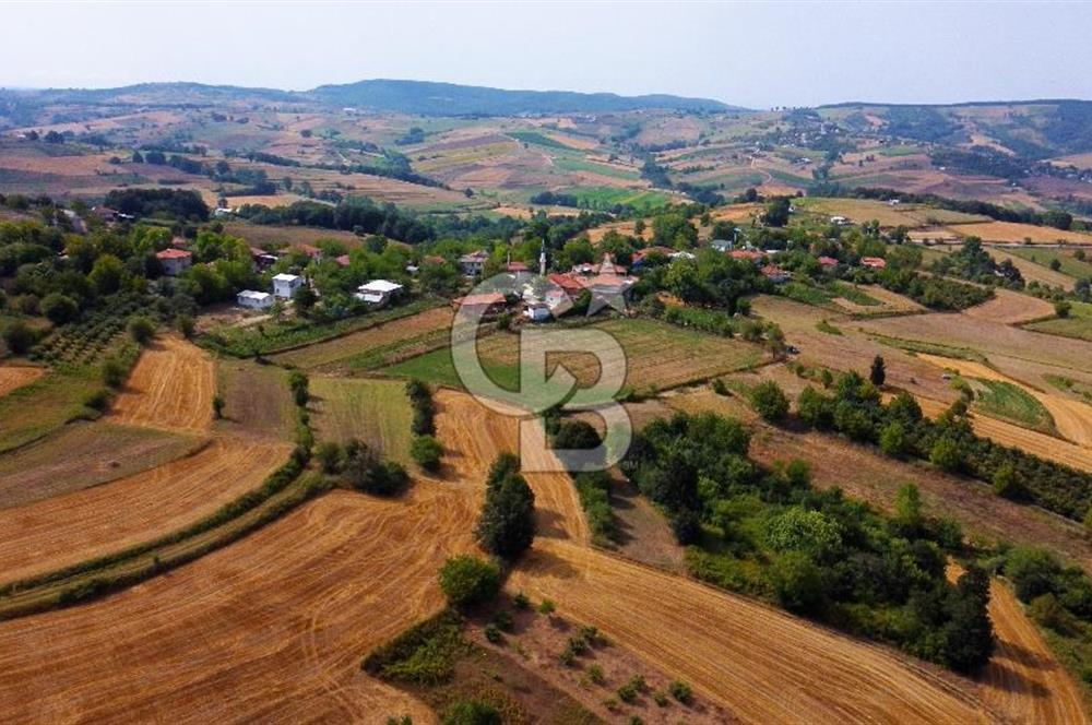 CB AKADEMİ SATILIK AMBARCI KÖY İÇİ KONUT İMARLI 1397m2 ARSA