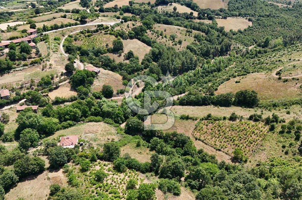 Çanakkale Yenice Umurlar Köyünde 500 M² Satılık Arsa!