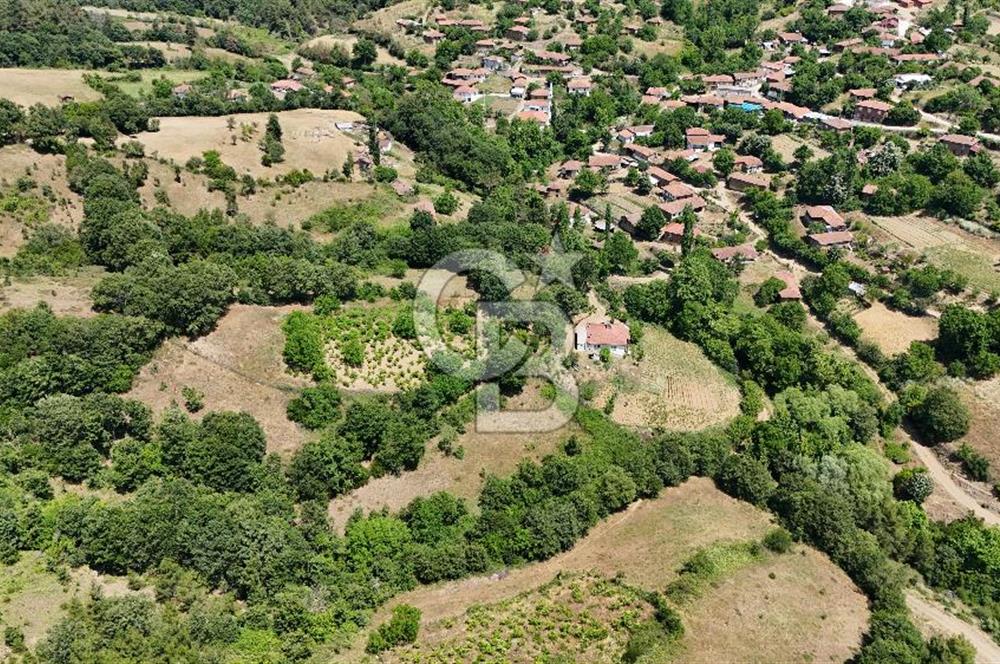 Çanakkale Yenice Umurlar Köyünde 500 M² Satılık Arsa!