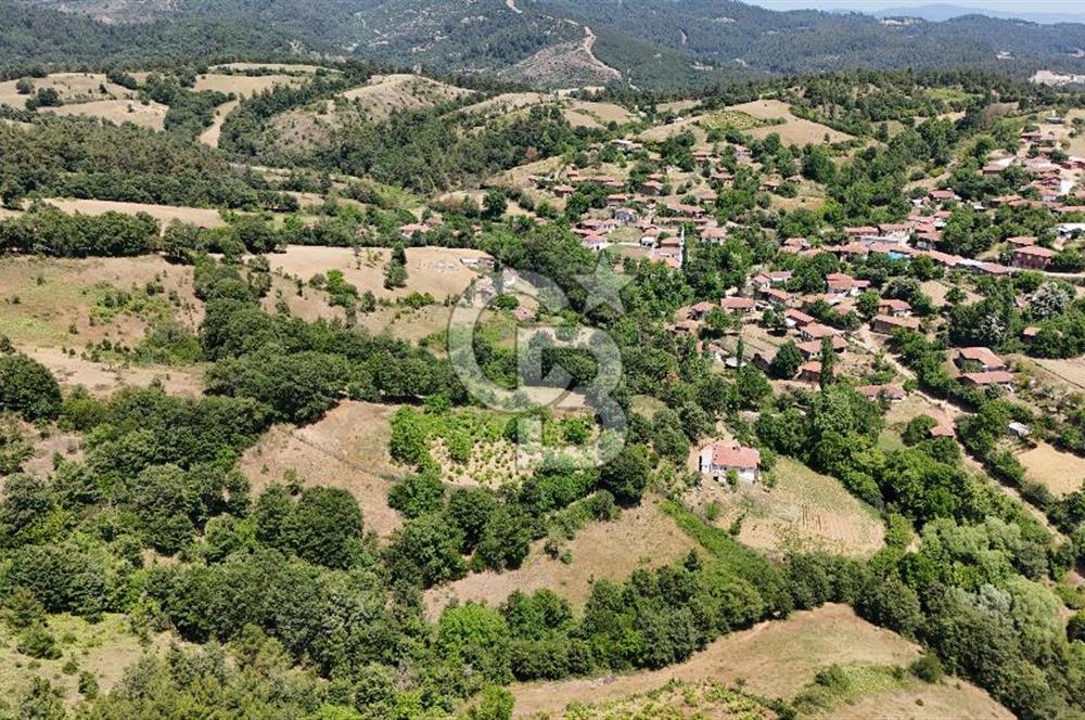 Çanakkale Yenice Umurlar Köyünde 500 M² Satılık Arsa!