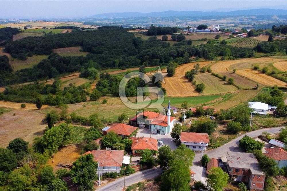 CB AKADEMİ SATILIK AMBARCI KÖY İÇİ KONUT İMARLI 1397m2 ARSA