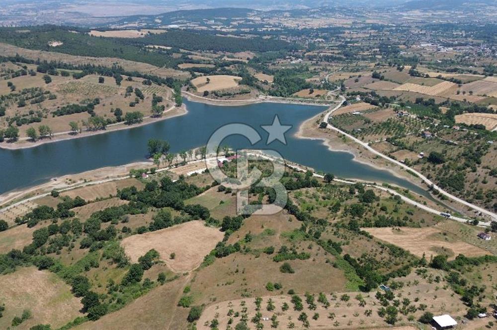 Çanakkale Çan Terzialan Satılık 6617 M2 Tarla!