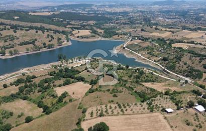 Çanakkale Çan Terzialan Satılık 6617 M2 Tarla!