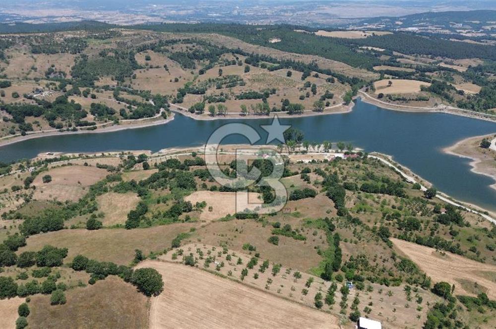 Çanakkale Çan Terzialan Satılık 6617 M2 Tarla!
