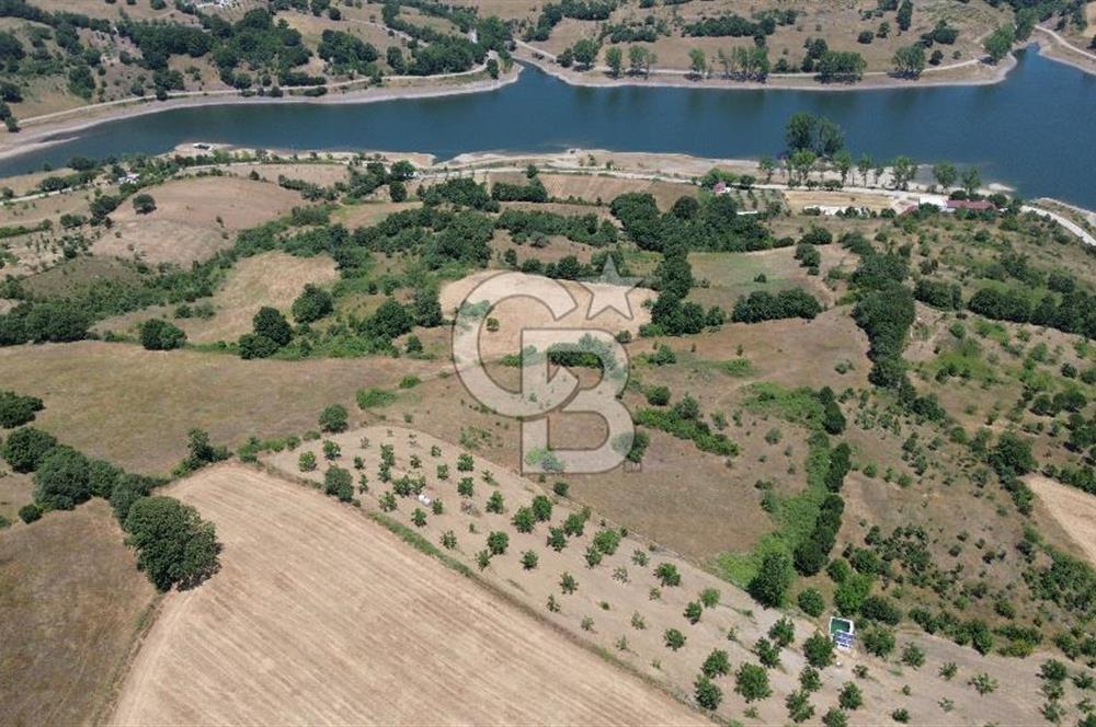 Çanakkale Çan Terzialan Satılık 6617 M2 Tarla!