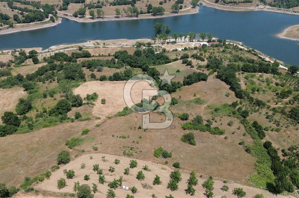 Çanakkale Çan Terzialan Satılık 6617 M2 Tarla!
