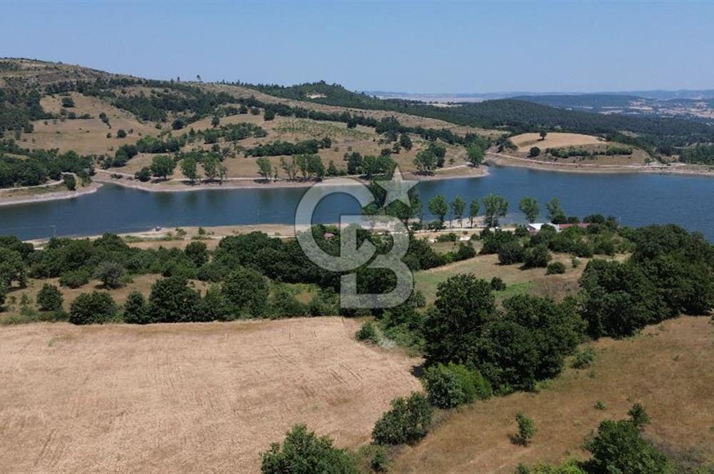 Çanakkale Çan Terzialan Satılık 6617 M2 Tarla!