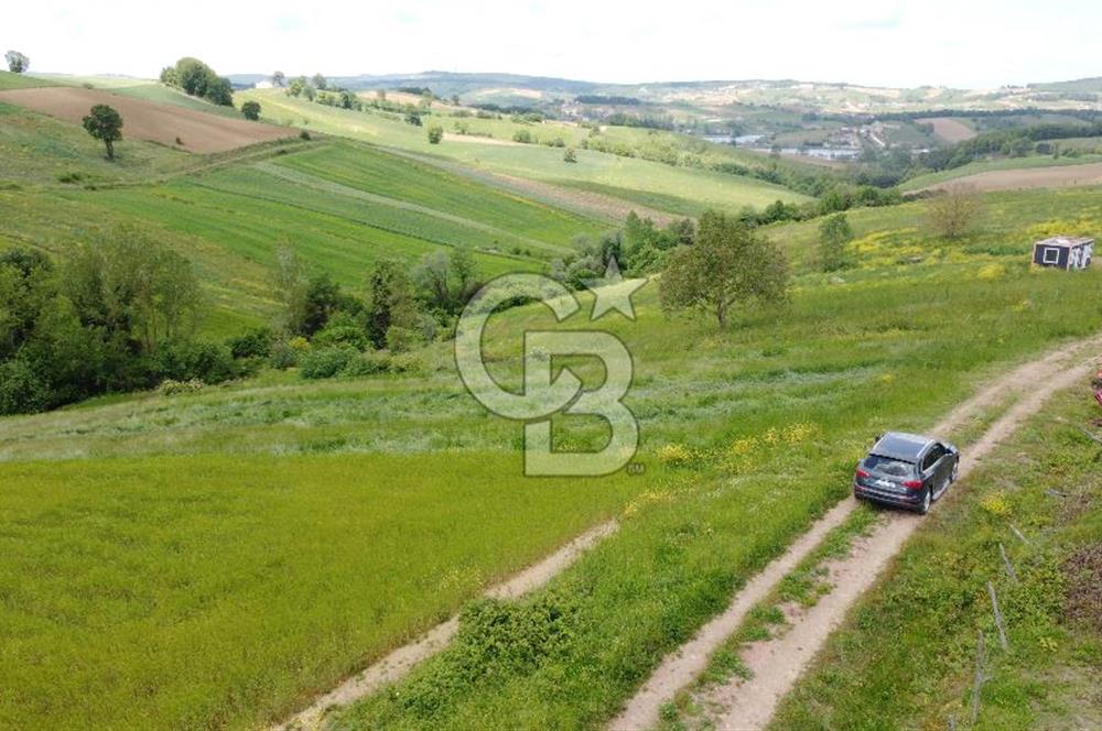 Geredeli de Gölet Manzaralı Projesi Hazır Satılık 2.779m² Parsel