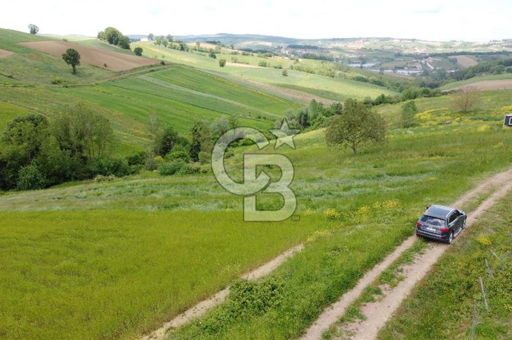Geredeli de Gölet Manzaralı Projesi Hazır Satılık 2.779m² Parsel