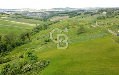 Geredeli de Gölet Manzaralı Projesi Hazır Satılık 2.779m² Parsel