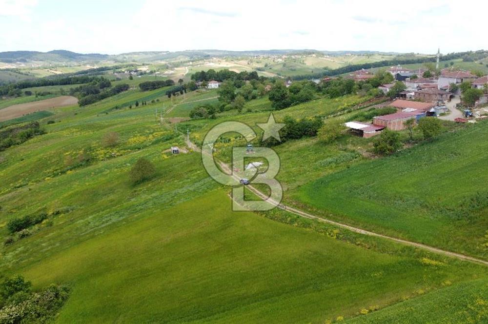 Geredeli de Gölet Manzaralı Projesi Hazır Satılık 2.779m² Parsel