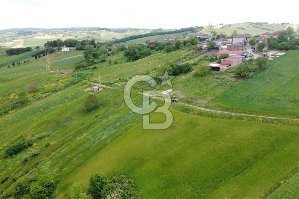 Geredeli de Gölet Manzaralı Projesi Hazır Satılık 2.779m² Parsel