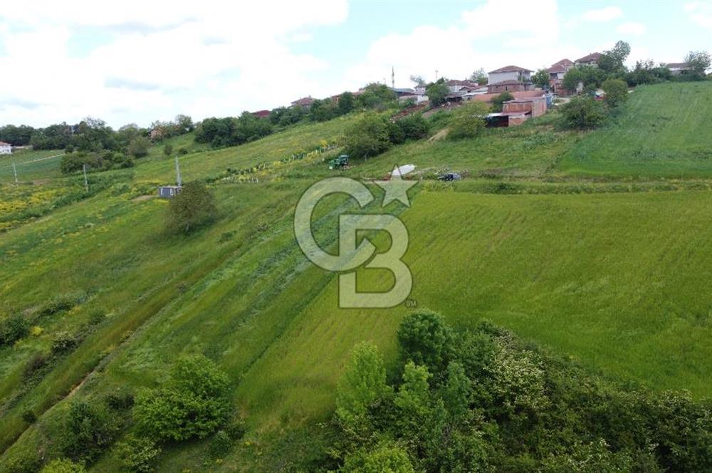 Geredeli de Gölet Manzaralı Projesi Hazır Satılık 2.779m² Parsel