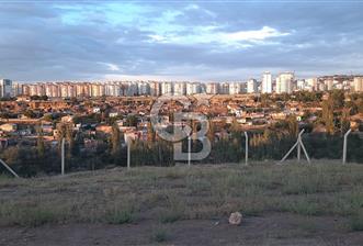 MERKEZE 10 DK KONTEYNIR İÇERİSİNDE DOĞAYLA İÇİÇE HOBİ BAHÇESİ