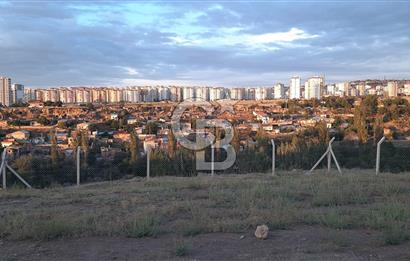 MERKEZE 10 DK KONTEYNIR İÇERİSİNDE DOĞAYLA İÇİÇE HOBİ BAHÇESİ