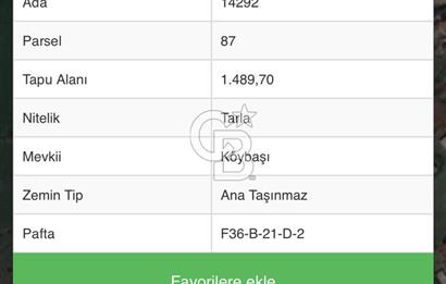 CB. AMAZON'DAN İLKADIM UZGUR'DA YATIRIMLIK TARLA