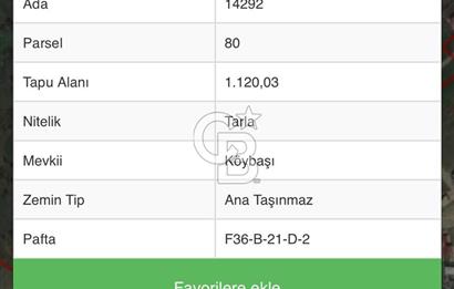 CB. AMAZON'DAN İLKADIM'DA YATIRIMLIK TARLALAR