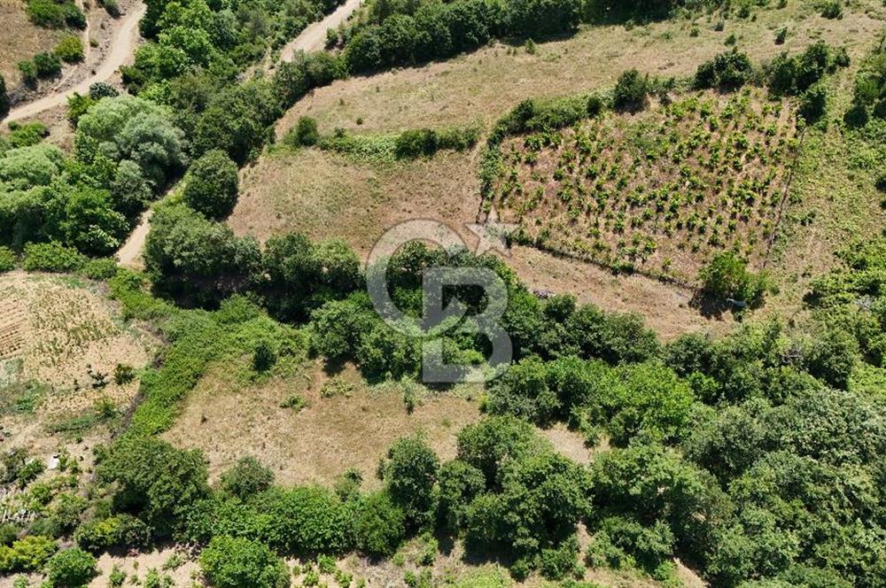 Çanakkale Yenice Umurlar Köyünde 500 M² Satılık Arsa!