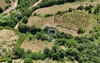 Çanakkale Yenice Umurlar Köyünde 500 M² Satılık Arsa!