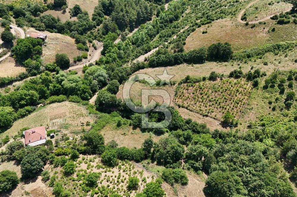 Çanakkale Yenice Umurlar Köyünde 500 M² Satılık Arsa!