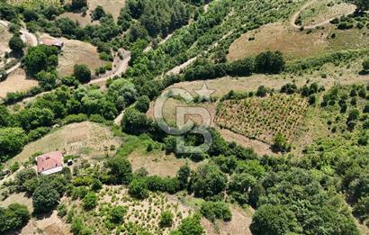 Çanakkale Yenice Umurlar Köyünde 500 M² Satılık Arsa!
