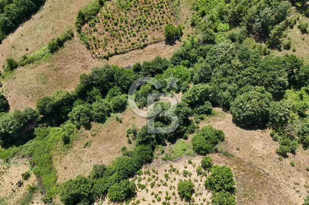 Çanakkale Yenice Umurlar Köyünde 500 M² Satılık Arsa!