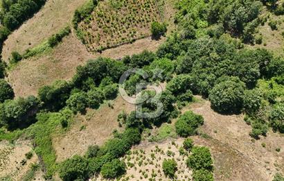 Çanakkale Yenice Umurlar Köyünde 500 M² Satılık Arsa!