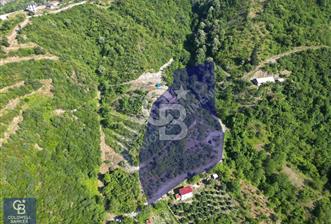 CB ENVOY'dan Değirmendere Yukarı Mahalle'de 9.000m2 Arsa