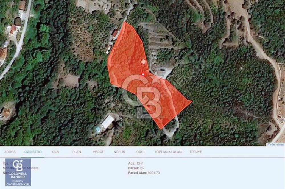 CB ENVOY'dan Değirmendere Yukarı Mahalle'de 9.000m2 Arsa